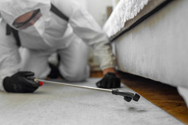 Professional Bed Bug Control technician working in Armstrong County County, TX